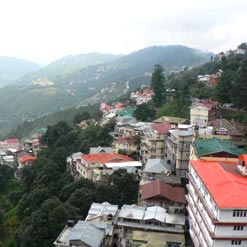 Shimla Travel Forum